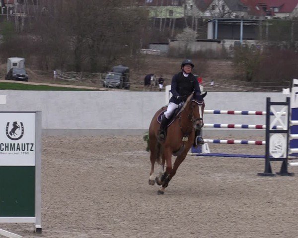Reitturnier Zwickau 2024
