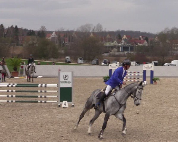 Reitturnier Zwickau 2024