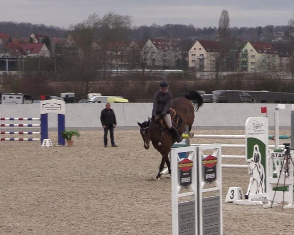 Reitturnier Zwickau 2024