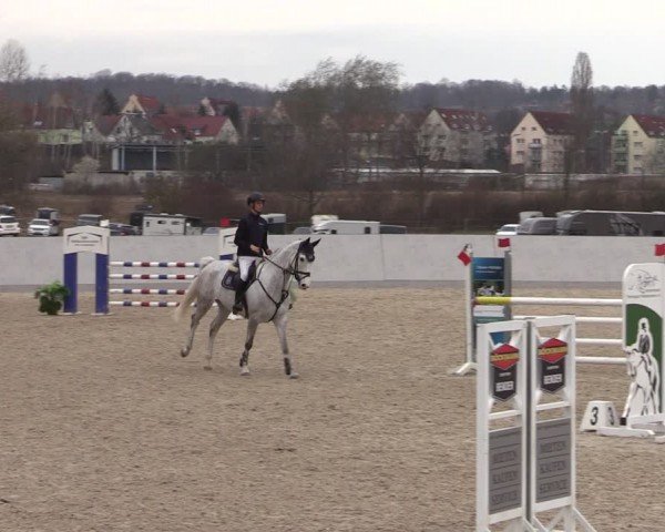 Reitturnier Zwickau 2024