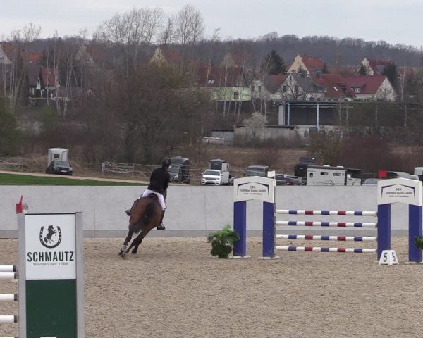Reitturnier Zwickau 2024