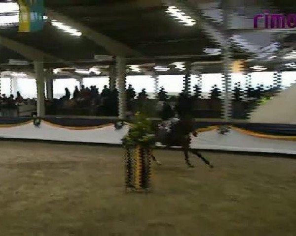 Vreden 2011