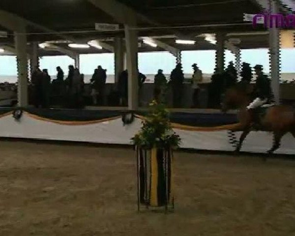 Vreden 2011
