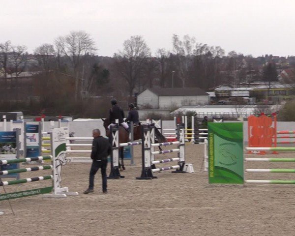 Reitturnier Zwickau 2024