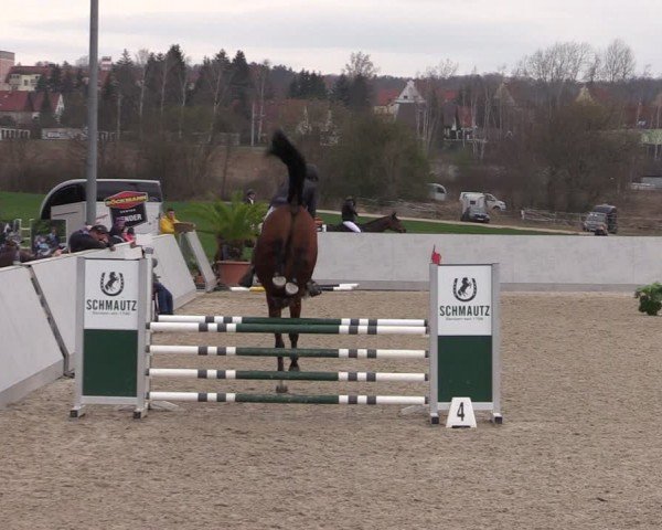 Reitturnier Zwickau 2024