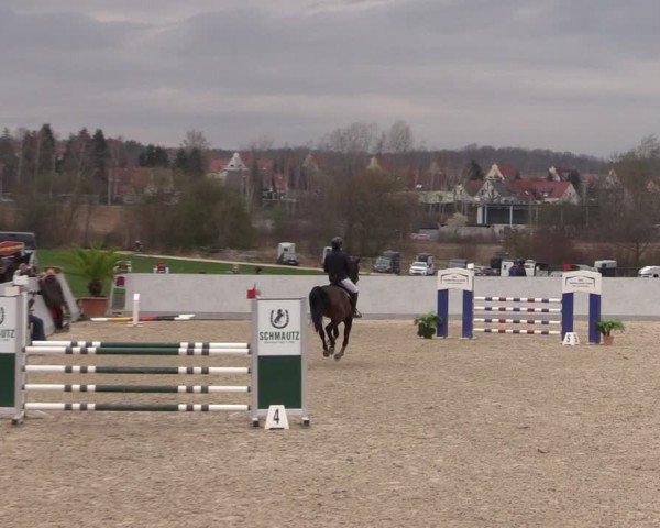 Reitturnier Zwickau 2024