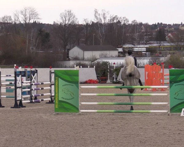 Reitturnier Zwickau 2024
