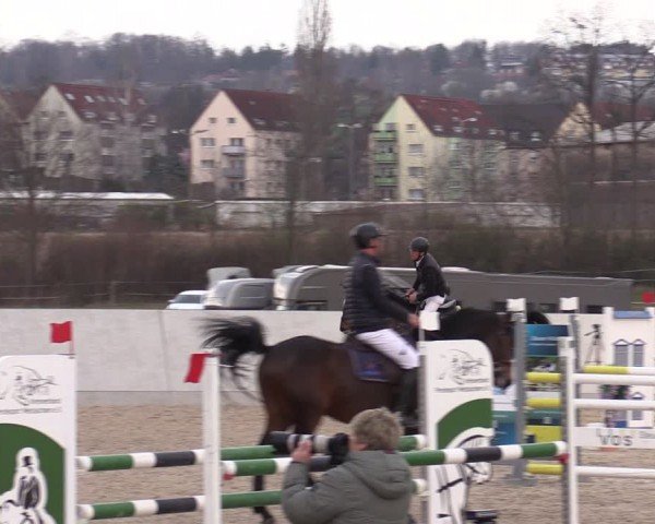 Reitturnier Zwickau 2024