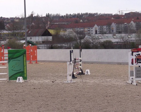 Reitturnier Zwickau 2024