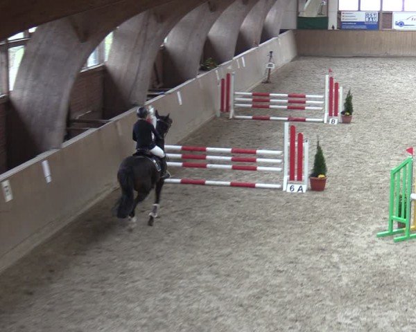 Reitturnier Krumke 2024
