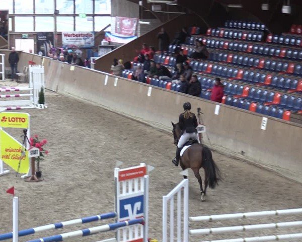 Reitturnier Krumke 2024