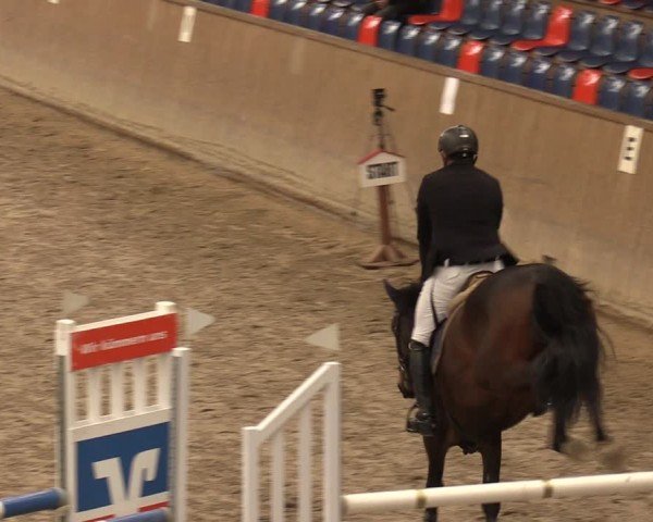 Reitturnier Krumke 2024
