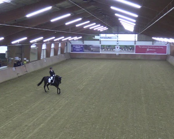 Reitturnier Bad Salzuflen 2024