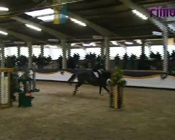 Vreden 2011