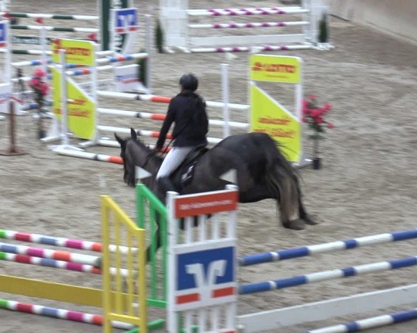 Reitturnier Krumke 2024