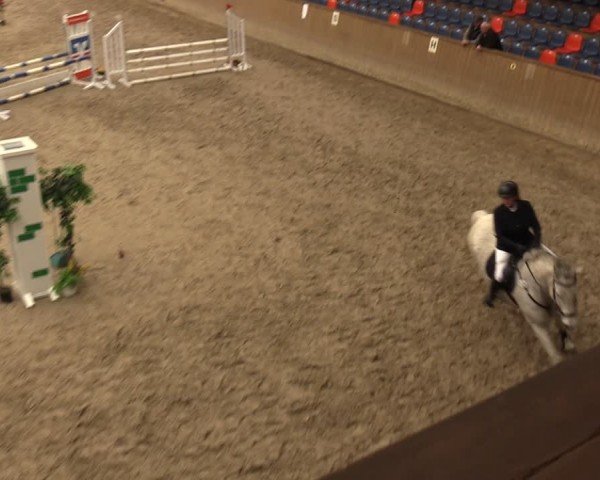 Reitturnier Krumke 2024