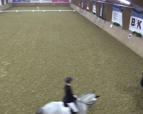 Reitturnier Bad Salzuflen 2024