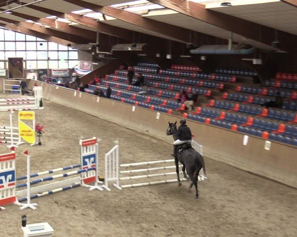 Reitturnier Krumke 2024