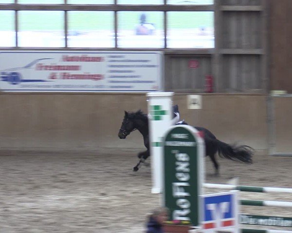 Reitturnier Krumke 2024