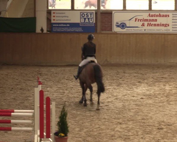 Reitturnier Krumke 2024