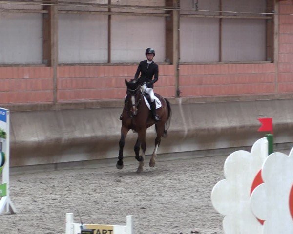 Reitturnier Tremsdorf, Eichenhof 2024