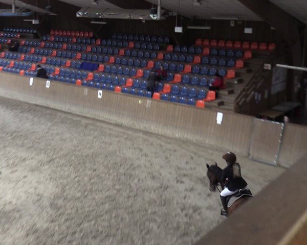 Reitturnier Krumke 2024