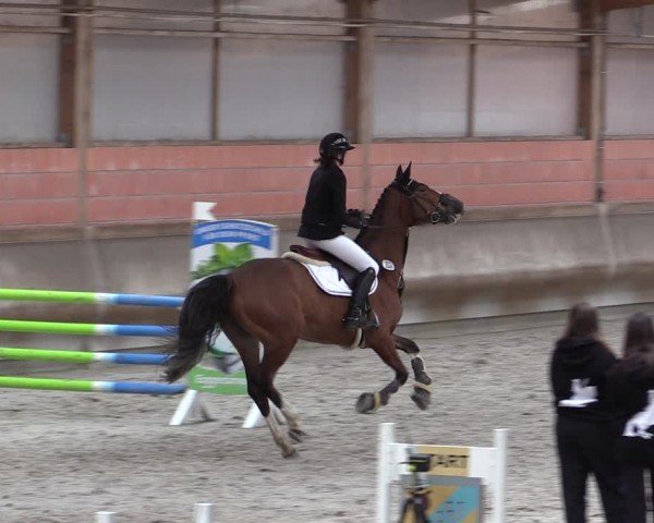 Reitturnier Tremsdorf, Eichenhof 2024