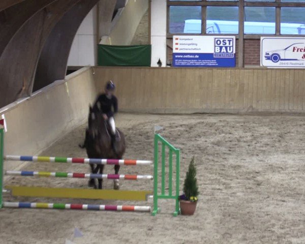 Reitturnier Krumke 2024