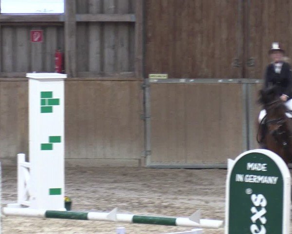 Reitturnier Krumke 2024