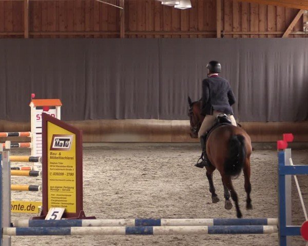Reitturnier Tremsdorf, Eichenhof 2024
