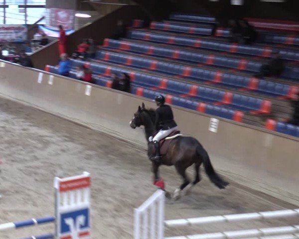 Reitturnier Krumke 2024