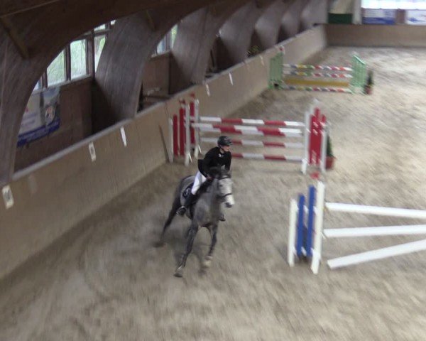 Reitturnier Krumke 2024