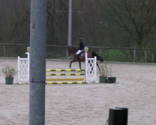 Reitturnier Erkrath - Uhlenhof 2024