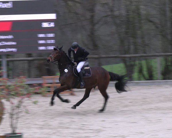 Reitturnier Erkrath - Uhlenhof 2024