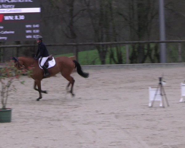 Reitturnier Erkrath - Uhlenhof 2024