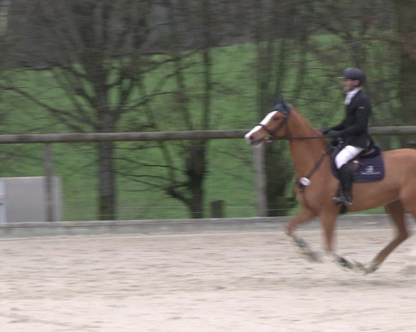 Reitturnier Erkrath - Uhlenhof 2024