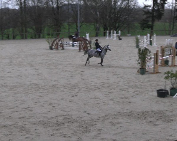 Reitturnier Erkrath - Uhlenhof 2024