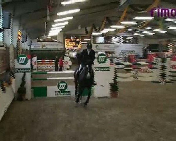Vreden 2011