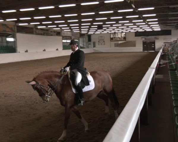Reitturnier Zweibrücken-Landgestüt / Halle 2024