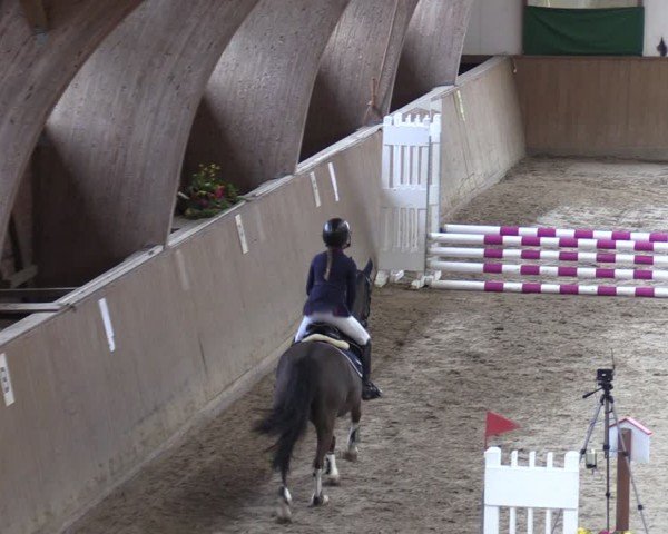 Reitturnier Krumke 2024
