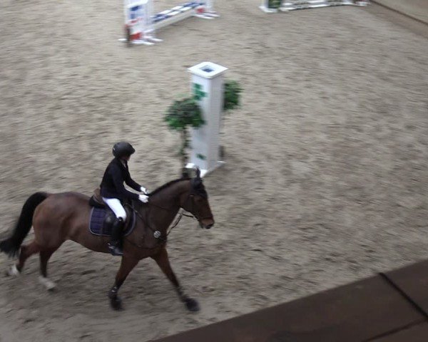Reitturnier Krumke 2024