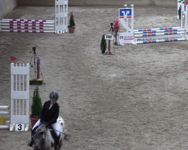 Reitturnier Krumke 2024