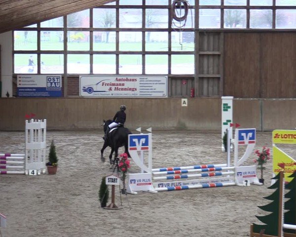 Reitturnier Krumke 2024
