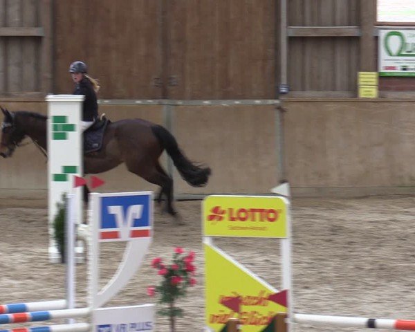 Reitturnier Krumke 2024