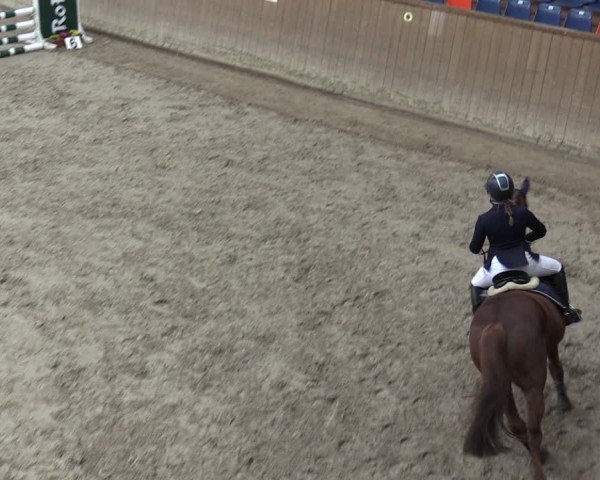 Reitturnier Krumke 2024