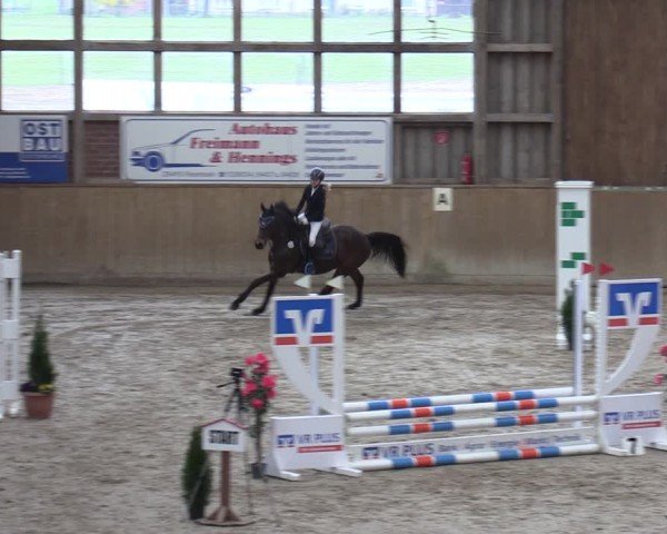 Reitturnier Krumke 2024