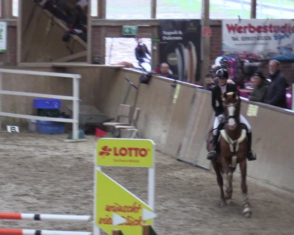 Reitturnier Krumke 2024