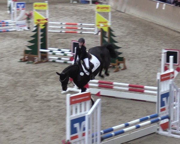 Reitturnier Krumke 2024