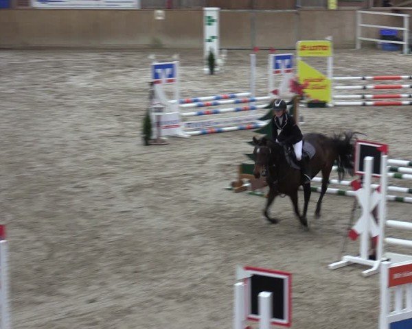 Reitturnier Krumke 2024