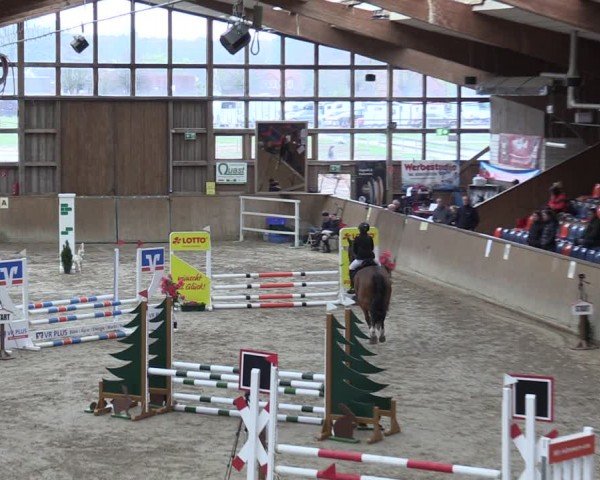Reitturnier Krumke 2024